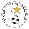 ES Fos-sur-Mer logo
