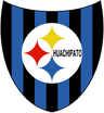 Huachipato logo