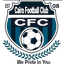 Team FC Cairo logo