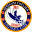 Berekum Chelsea logo