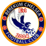 Berekum Chelsea logo