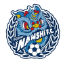 Foshan Nanshi logo