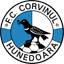 CS Corvinul Hunedoara U19 logo