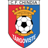 Chindia Targoviste logo