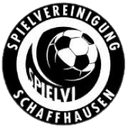 SV Schaffhausen logo - Baden VS Sv Schaffhausen Score