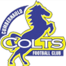 Cumbernauld Colts logo