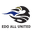EDO ALL United logo