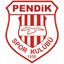 Pendikspor U19 logo