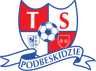 Podbeskidzie Bielsko Biala II logo