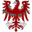 Brandenburger SC Sud 05 logo