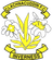 Clachnacuddin logo - Sco Highland League 31925 Football