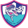 Northern Tak United logo - United VS Phitsanulok Fc Live Score Today