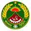 Ansar VDP FC (W) logo