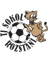 Tj Sokol Rozstani logo