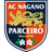 AC Nagano Parceiro Ladies logo
