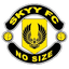 Skyy FC logo