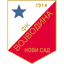 Vojvodina U19 logo