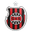 Brasil de Pelotas logo