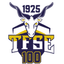 TFSE Budapest logo