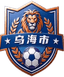 Wuhai Team logo