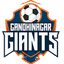 Gandhinagar Giants logo