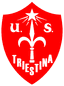 Triestina U19 logo