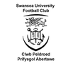 Swansea University logo