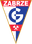 Gornik Zabrze U19 logo