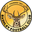 Bashley logo