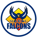 Adamson Falcons logo - Maroons VS Adamson Falcons Live Score Today