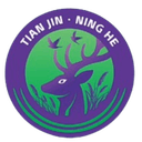 Tianjin Ninghe logo - Ninghe VS Guizhou Rongjiang Live Score Today
