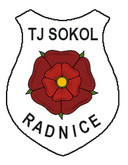 TJ Sokol Radnice logo - Radnice VS Holysov Score