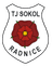 TJ Sokol Radnice logo