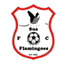 Sua Flamingoes logo