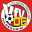 VfV Borussia 06 Hildesheim logo