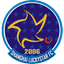 Shanghai Xingyunxing U15 logo