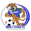 Mike-1-Stars FC logo