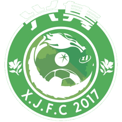 Shenzhen Xingjun logo