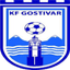FK Rinija Gostivar logo