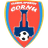 ACS DP Cornu logo