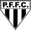Porto Ferreira SP Youth logo