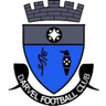 Darvel FC logo