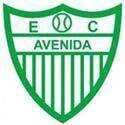 Avenida RS logo