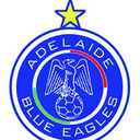 Adelaide Eagles SC logo - City VS Adelaide Eagles Sc Live