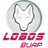 Lobos Puebla logo