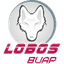 Lobos Puebla logo
