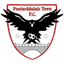 Pontarddulais Town AFC logo