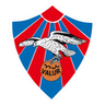 Valur Women logo