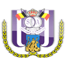 Anderlecht U21 logo