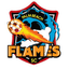 Palm Beach Flames logo - Npsl 32955 Live Score